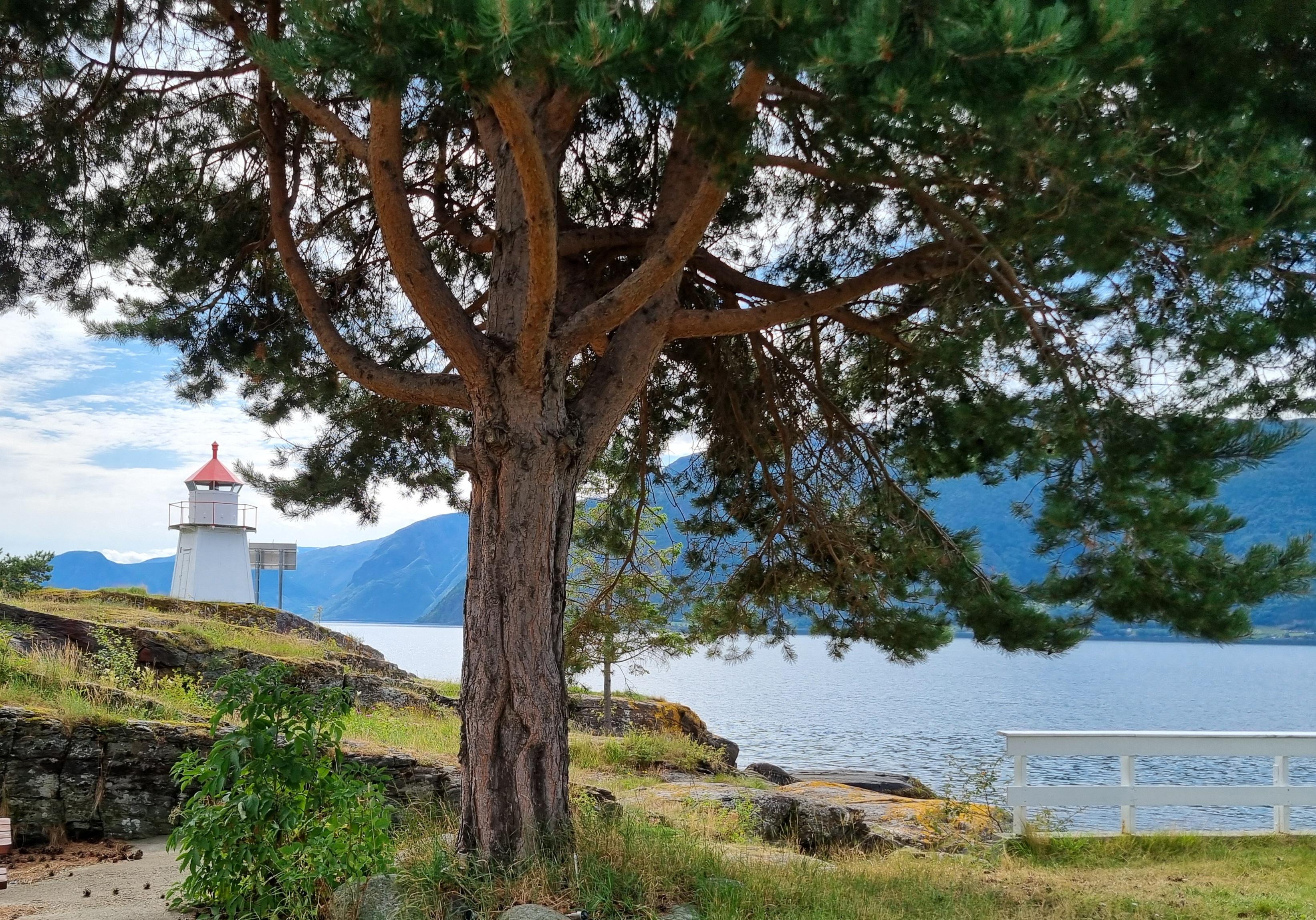 Sogndal 2