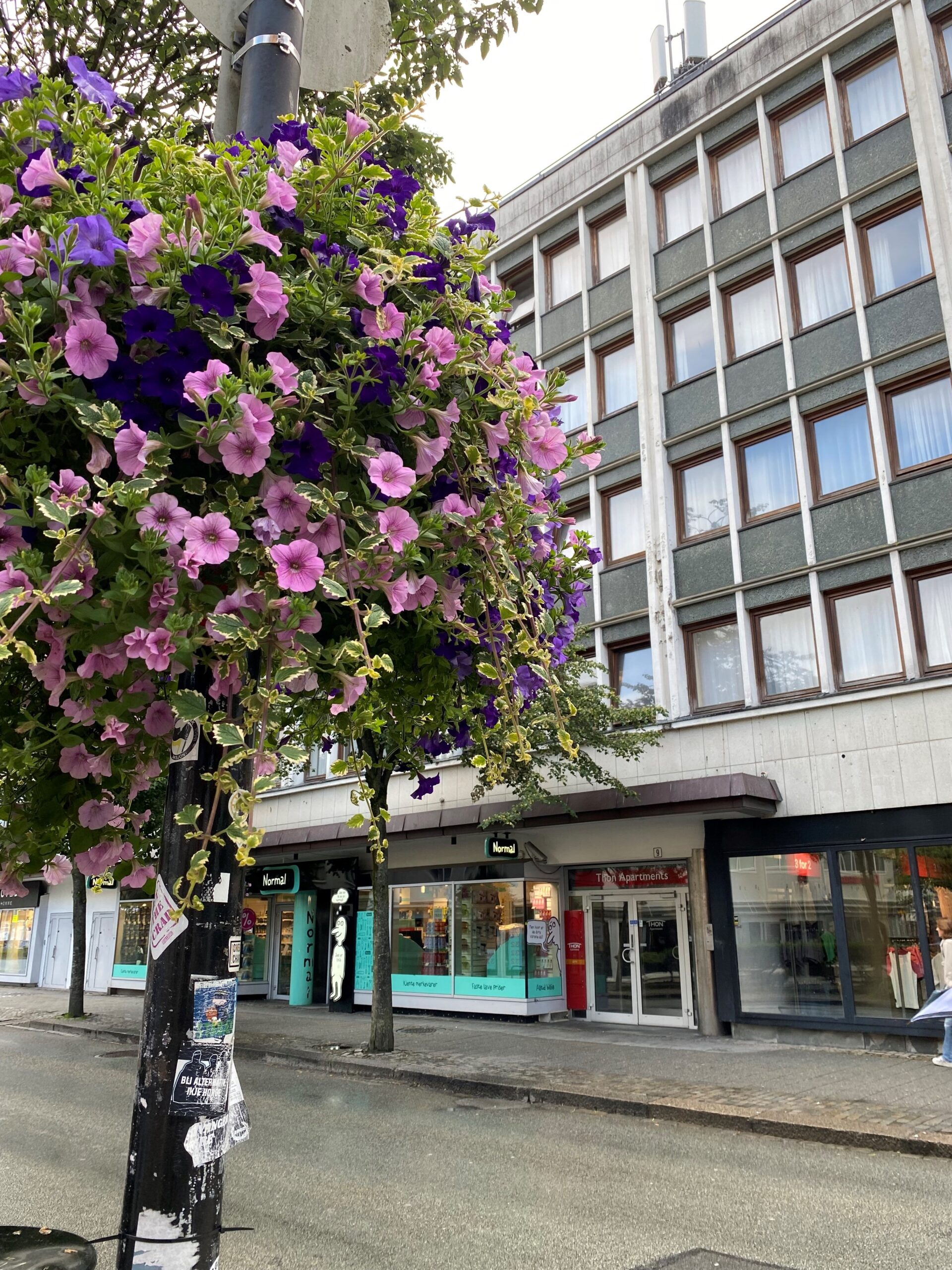 Stavanger Mottak Bilde Scaled