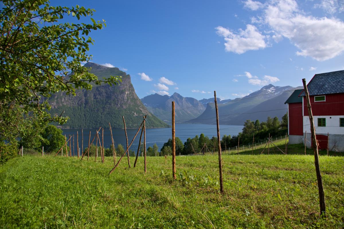 Isfjorden